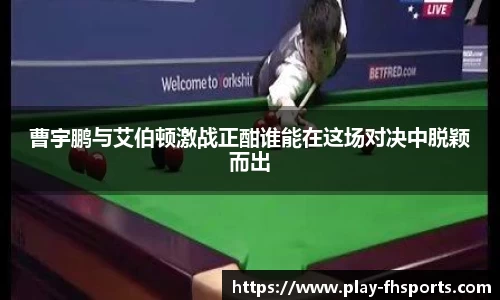 FH凤凰体育FENGHUANG TIYU